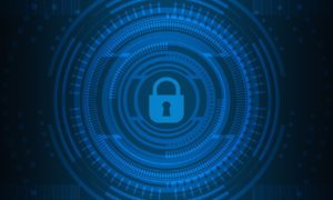 Risk Fraud and Security Prevention