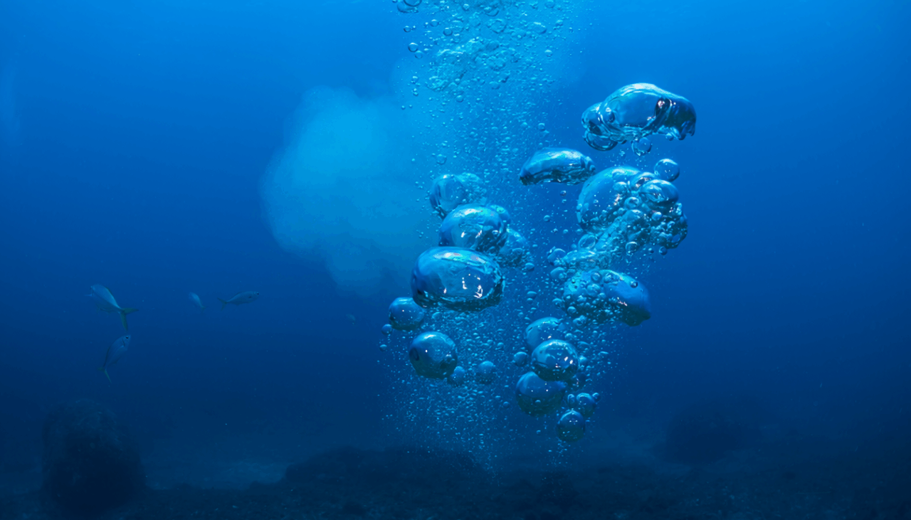 Deepwater Depositional Systems