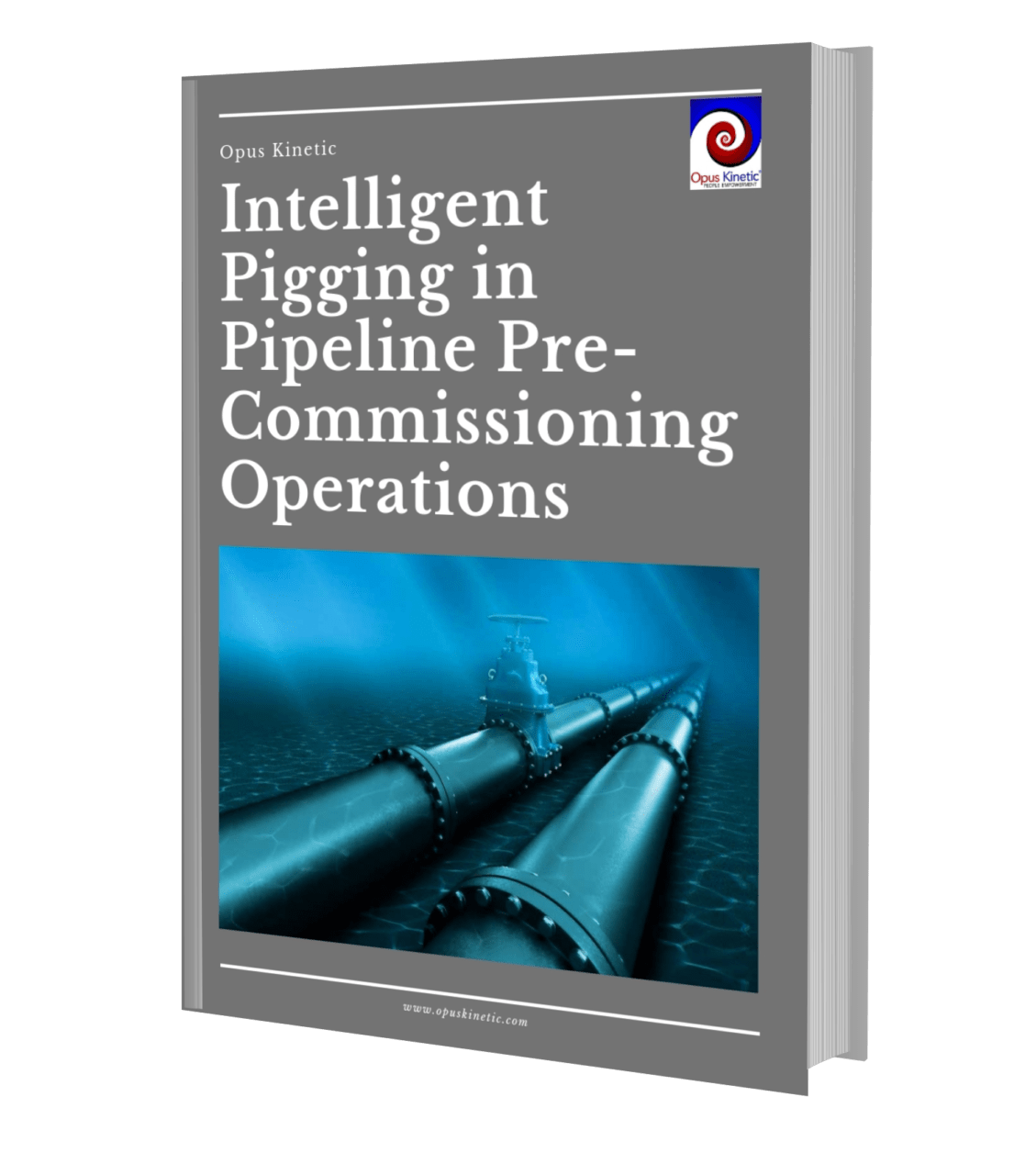 Pigging In Pipeline Pre-Commissioning 