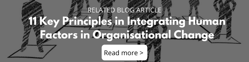 Blog - 11 Key Principles in Integrating Human Factors in Organisational Change